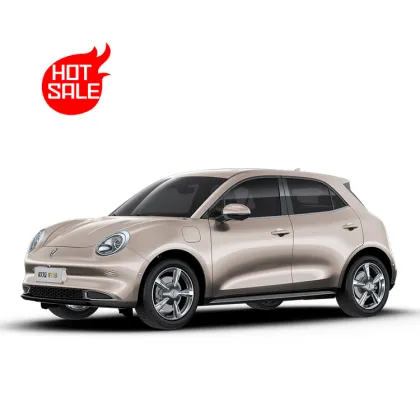 2024 Ora Good Cat Mini Electric Small Car - 4 Wheel Electric Mini Vehicle