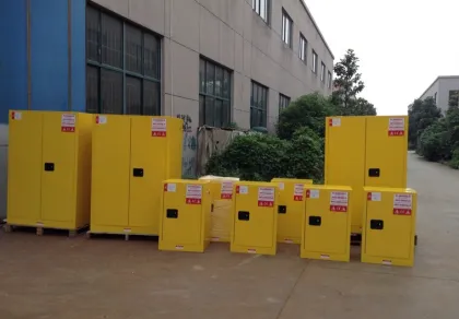 Chemical Laboratory Gas Cylinder Safety Cabinet