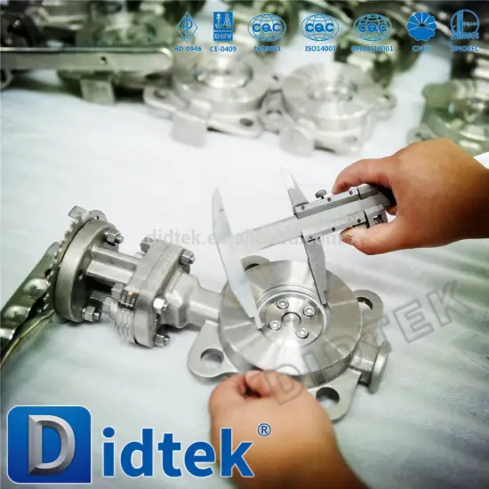 Didtek Sea water 300lb butterfly valve