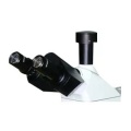 L3230BD Upright Metallurgical Microscope