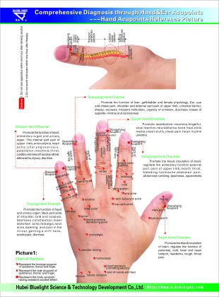 bluelight  foot massager Bl-EX shiatsu back neck massager for head neck foot pain relief