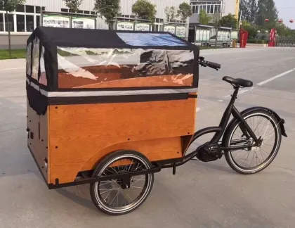 Electric Cargo Tricycle with Five Seats for Children