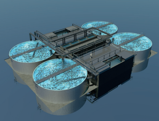 Fish Ras Dimensions Commercial Fish Farming: Full Set Ras Equipment For Aquaculture, High ...