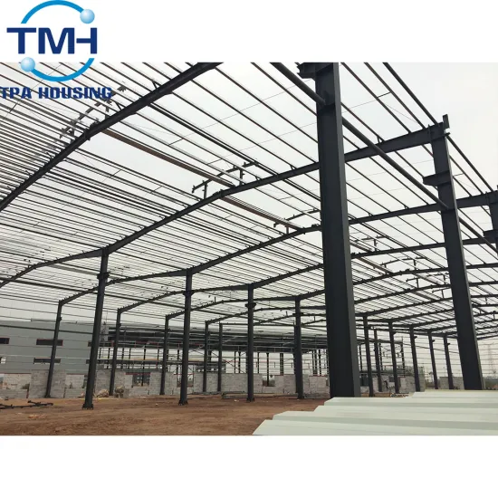 Foshan Factory Custom Pre-Built Steel Structure Workshop