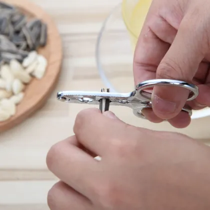 Pistachio Nuts Melon Sunflower Seeds Pliers