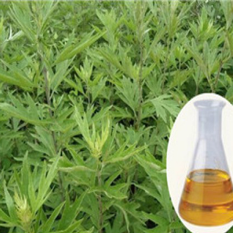 น้ำมันหอมระเหยบลูเมียบริสุทธิ์ 100% Artemisia Absinthium