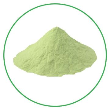 OEM discount best instant organic kiwi fruit powder