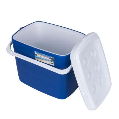 Innovative Igloo Cooler Box: High Quality at Competitive Price - 20UL