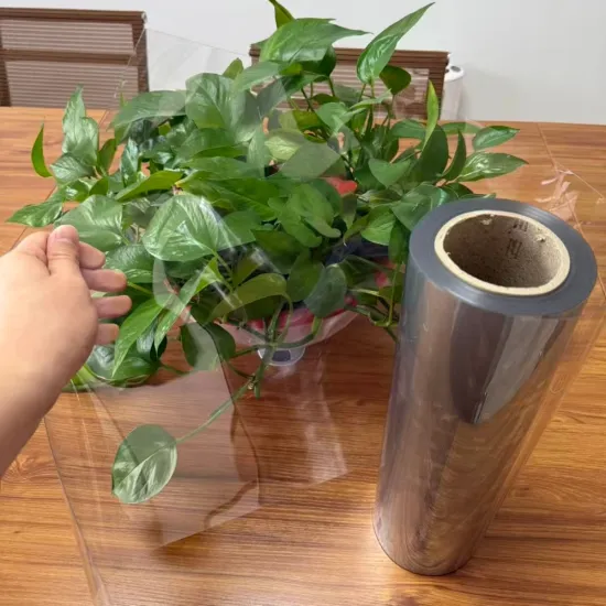 0.25mm Clear PET Sheet for Clamshell Container