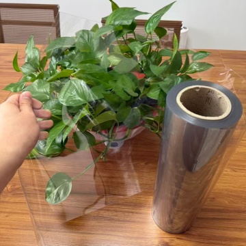 Clear PET Sheet Roll for Thermoforming Blister Packaging