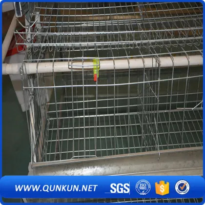 3 lays 96 chicken cage in south africa