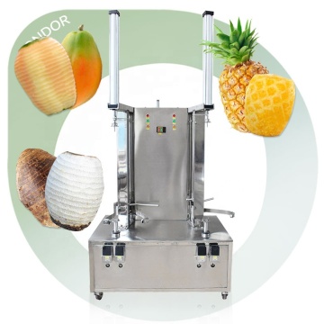 Selar di frutta industriale e coraggio per melone, pompelmo, ananas e jackfruit
