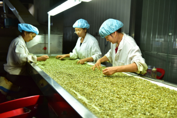Top Sale organic pumpkin seeds kernel flour