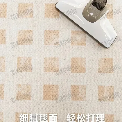 Simple Cream Velvet Living Room Carpet with Water