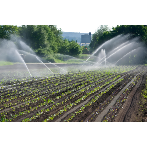 Ammonium Bicarbonate Fertilizer: Fast-Acting Crop Nitrogen