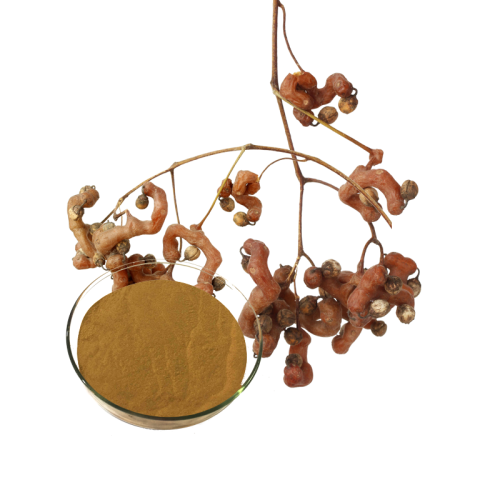 hovenia dulcis thunb extract powder