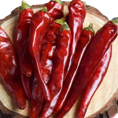 Focus On Pepper Production Top dried chili wholesale Shizhu chili food seasoning Supplier