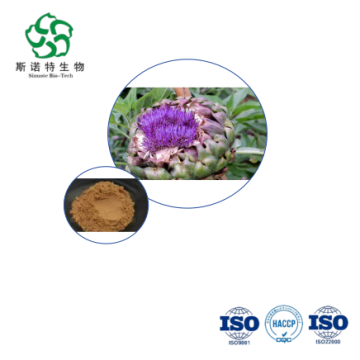 Chiết xuất Cynara Scolymus - Bán buôn bột hòa tan trong nước cho dược phẩm dinh dưỡng
