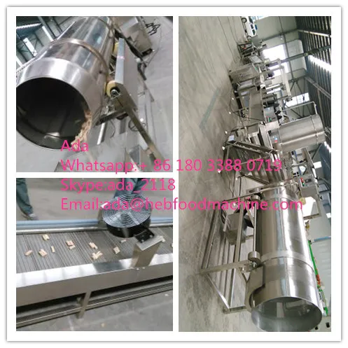 SH-V008 snack making machinery