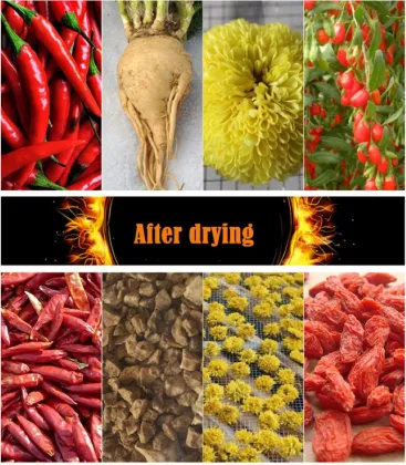 Loongflyi clove kelp grape dryer