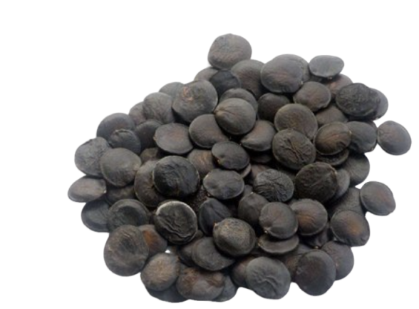 5-Hydroxytryptophan Powder Supplier