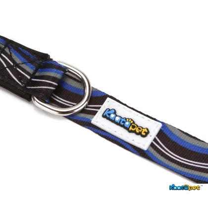 Flowing Art Dog Traction Set Dog Leashes