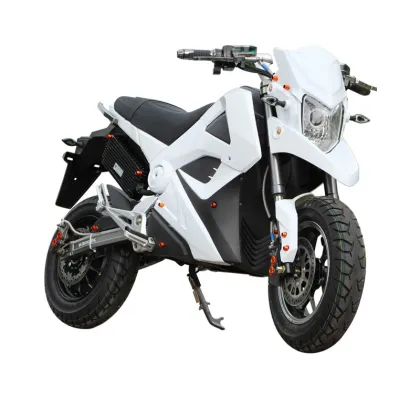 Electric Motorcycle with Wuyang Mid Motor: 150 KM Range
