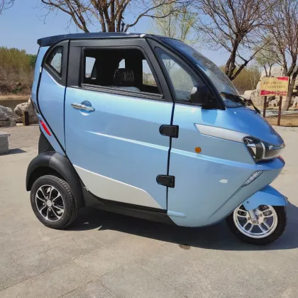 Clean New Energy Lithium Battery Electric Passenger Mini Car
