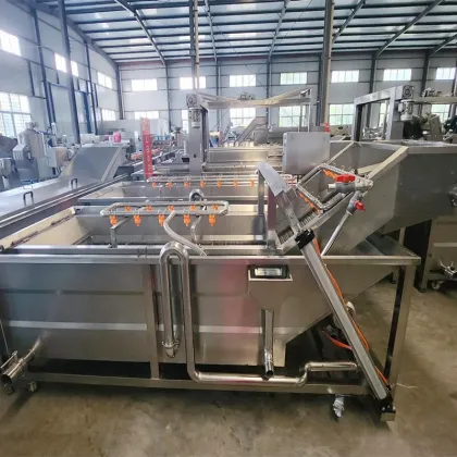 Customizable DY Bubble Ozone Vegetable Washing Machine