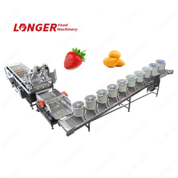 Vegetable and Fruit Cleaning Machine