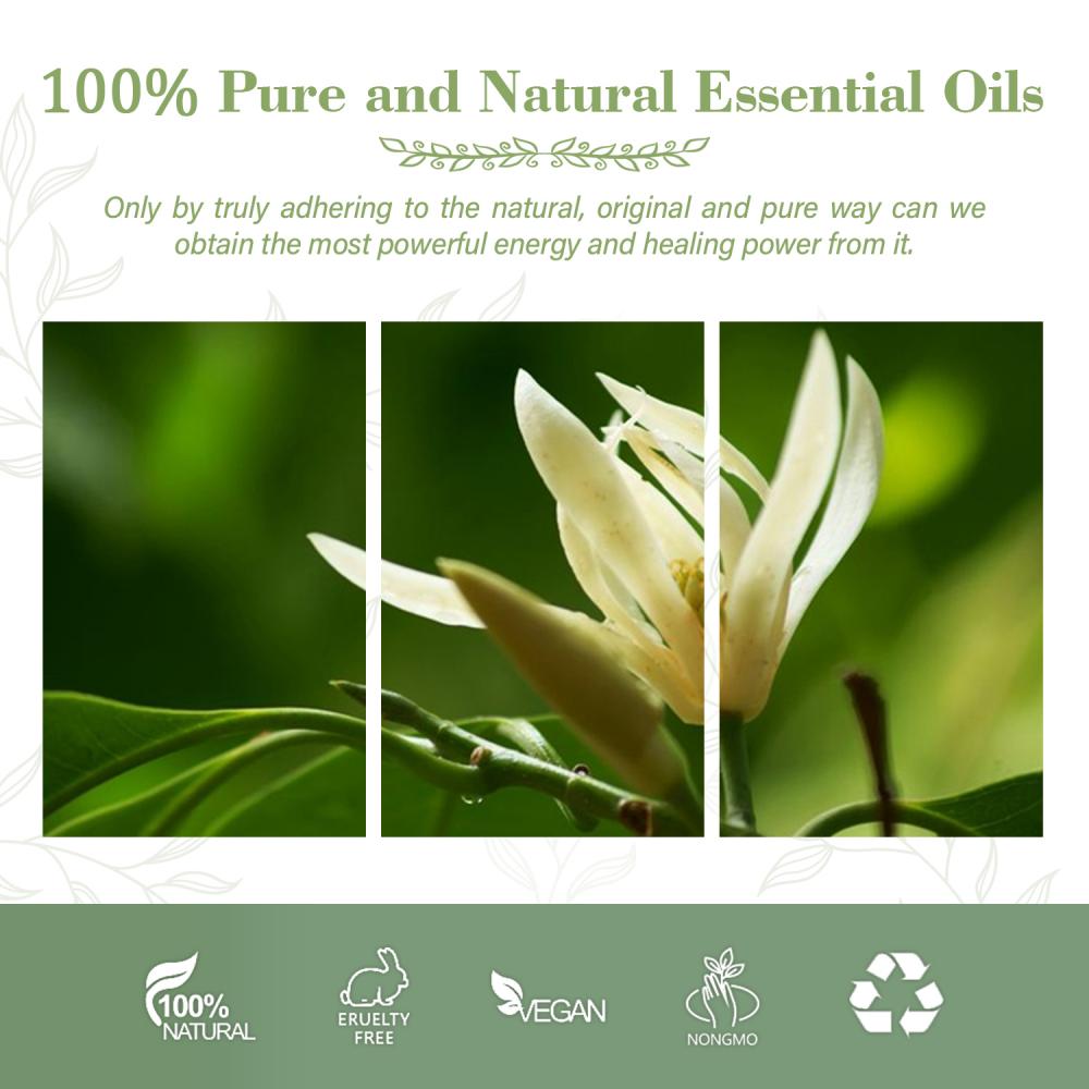 Wholesale Champaca Essential Oil For 100% Pure Natural Oil