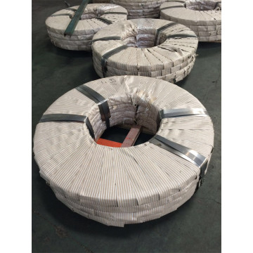 High carbon alloy steel annealed steel strip