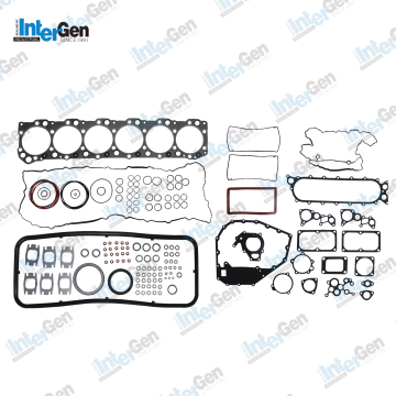 OEM 2996302 Fit for IVECO F3B Full Set