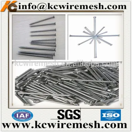 Polishing Common Nails .