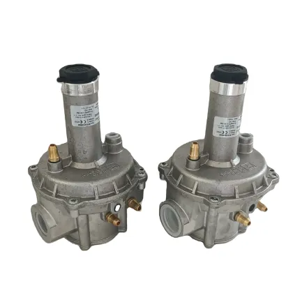 Pietro Fiorentini 3S150 DN Proportional Valve Amplifier