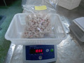Cambio argentino rojo congelado de IQF pescado en el salvaje 10 kg/cartón