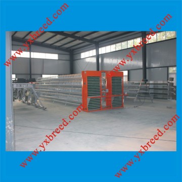 High Quality Automatic Egg Collecting System (YX-EC)