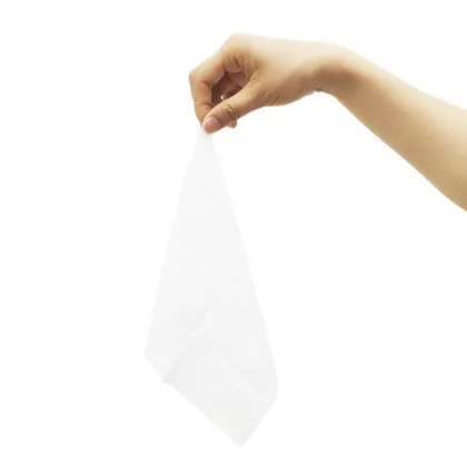 Antibacteria Hand Cleaning Wet Wipe