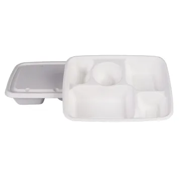 Disposable Sugarcane Bagasse Food Container Box