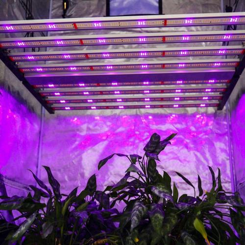 LED UV de 730nm cresce luz para a planta médica