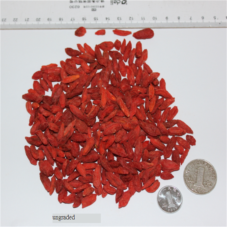 Baya de Goji orgánica certificada venta caliente seca / wolfberry