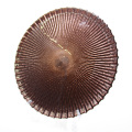 Copper Colored Embossed Round Glass Charger Plates