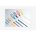 Black Plastic Cable Tie Line Cable Ties Mold