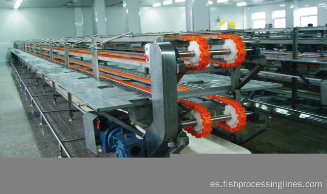 AZ Fish Processing Line Máquina de pescado de atún