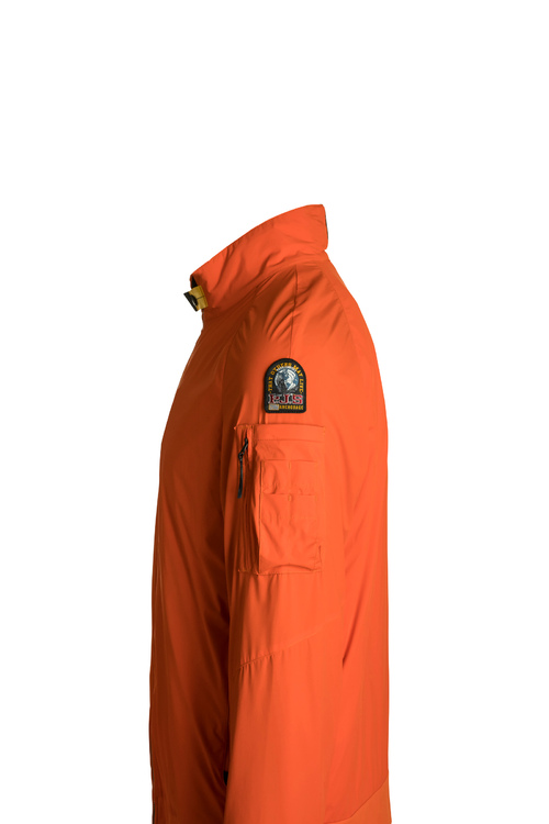 Orange4 Jpg