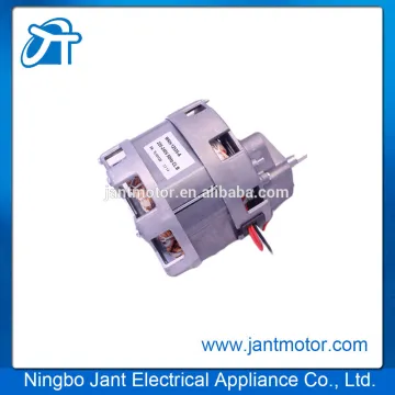 vegetable and fruit juicer motor