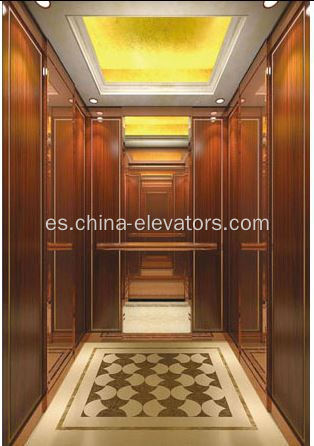 MRL Asamblea del auto de elevación de pasajeros