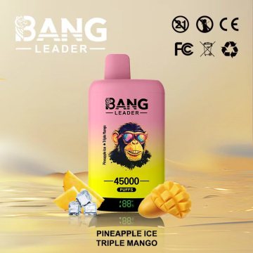Bang 45K Puffs Vape 2% Nic Italy In Stock