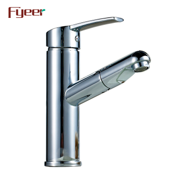 Fyeer Pull-Out Spray Single Handle Brass Kitchen Faucet