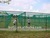 Most popular artificial grass for PADDLE